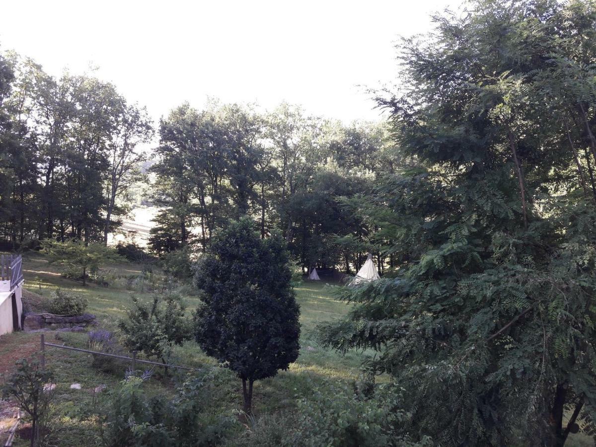 منزل الضيف سارلا لا كانيدا  في La Clairiere المظهر الخارجي الصورة